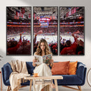 Carolina Hurricanes Ice Hockey Stadium Wall Art, Carolina