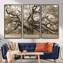 Sepia Framed Angel Oak Tree Wall Art - 3-Panel Canvas