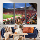 Wisconsin Badgers Football Team Print - Madison Camp Randall