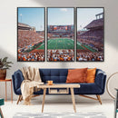 Framed Texas Memorial Stadium Canvas, University of Texas