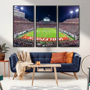Wolfpack Football Team Print - Raleigh Carter-Finley Stadium
