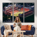 University of Illinois Fighting Illini Football Team Print -