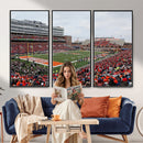 University of Illinois Fighting Illini Football Team Print -