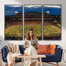 University of Illinois Fighting Illini Football Team Print -