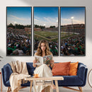 University of Charlotte 49ers Football Team Print -