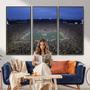 University of Michigan Wolverines Football Team Print - Ann