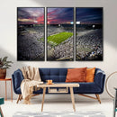 Penn State Nittany Lions Football Team Print - University