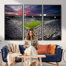 Penn State Nittany Lions Football Team Print - University