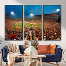 Clemson University Tigers Football Team Print - Clemson