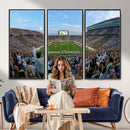 Michigan State Spartans Football Team Art Print - East