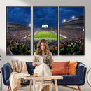 Michigan State Spartans Football Team Print - East Lansing
