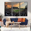 Michigan State Spartans Football Team Print - East Lansing