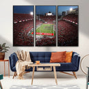 Ohio State University Buckeyes Football Team Print -