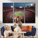 Ohio State University Buckeyes Football Team Print -