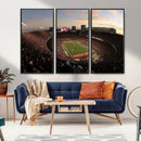 Ohio State University Buckeyes Football Team Print -