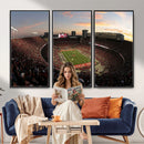 Ohio State University Buckeyes Football Team Print -