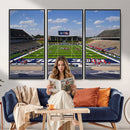 Rice University Owls Football Team Print - Houston Rice