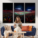 Rutgers Scarlet Knights Football Team Print - SHI Stadium,