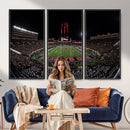 Framed Texas Tech Red Raiders Stadium Canvas, Texas Tech Red