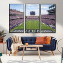 TCU Horned Frogs Football Team Print - Fort Worth Amon G.
