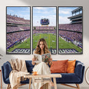 TCU Horned Frogs Football Team Print - Fort Worth Amon G.
