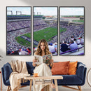 The Texas Christian University TCU Horned Frogs Football