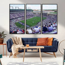 The Texas Christian University TCU Horned Frogs Football