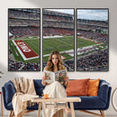 The Temple University Owls Athletics Team Print -