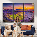 The Louisiana State University Tigers Football Team Print -