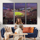 The University of Southern California USC Trojans Football