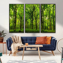 Lush Green Forest Canvas Print | 3-Panel Forest Wall Art |