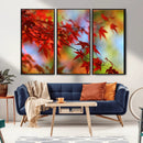 Red Leaves Autumn Forest Wall Art Canvas, Red Leaves Autumn by MyGreatCanvas | Canvas Wall Art Prints | Photo Prints & Wall Decor