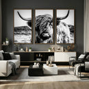 Black and White Scottish Cow Canvas Wall Art Highland Cattle