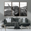 Longhorn Steer Canvas Print Wall Art, Highland Cow Canvas by MyGreatCanvas | Canvas Wall Art Prints | Photo Prints & Wall Decor