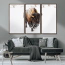 Bison Winter Wall Art Canvas Print For Farmhouse Decor