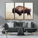 Bison in Field Wall Art Canvas Print For Farmhouse Barn