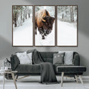 Bison Wall Art Canvas Print For Farmhouse, Animal Canvas