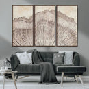 Tree Ring Wall Art Triptych, Rustic Wood Ring Canvas Print,