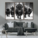 American Bison Art | Buffalo Herd Wall Art Canvas Print, BW