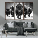 American Bison Art | Buffalo Herd Wall Art Canvas Print, BW