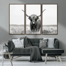 Highland Cow Canvas Wall Art – Majestic Beauty in Black and