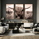 Scottish Cow Longhorn Wall Art Canvas Print