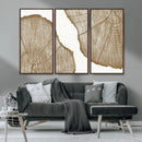 Rustic Brown Tree Ring Wall Art Canvas Print – Framed and