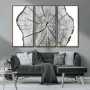 Rustic Tree Ring Wall Art Canvas Print – Framed and Ready to