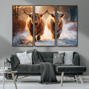 Scottish Highland Cow Horn Farm Wall Art Canvas Print