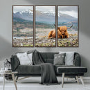 Highland Cow Horn Farm Wall Art Canvas Print
