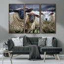 Charming Sheep Portrait Wall Art – Trio of Woolly Companions by MyGreatCanvas | Canvas Wall Art Prints | Photo Prints & Wall Decor
