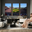 Cincinnati Reds Baseball Canvas Print - American Ball
