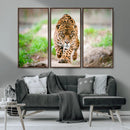 Leopard on the Prowl - Stunning Large Framed Leopard Wall