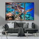 Underwater Coral Reef Sea Turtle Wall Art Canvas Print,